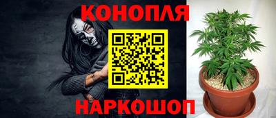 кокаин колумбия Гай