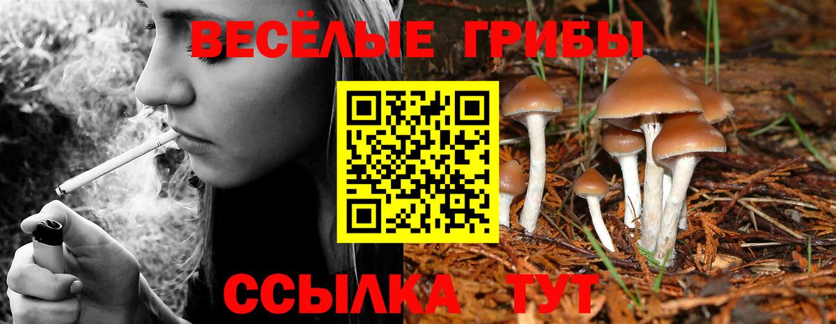 Мурино  Псилоцибиновые грибы мухоморы  Вход с VPN 