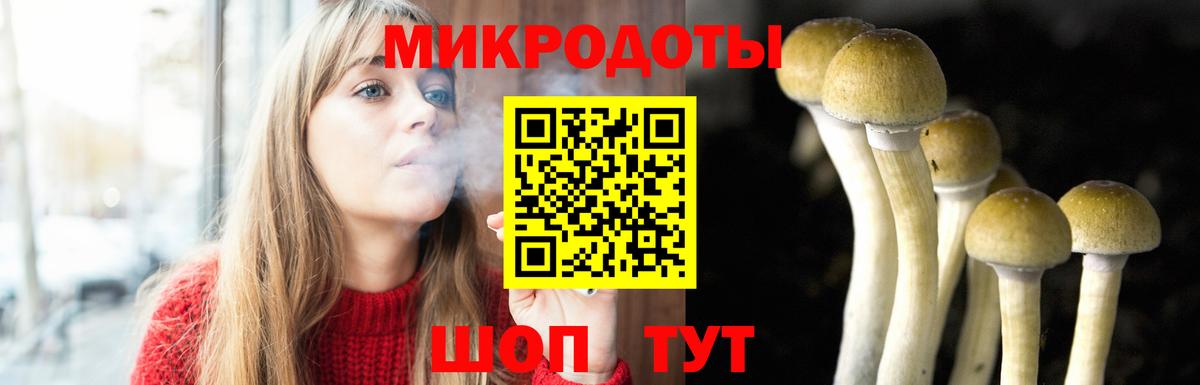 Галлюциногенные грибы Magic Shrooms Мурино